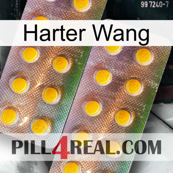 Hard Wang new10